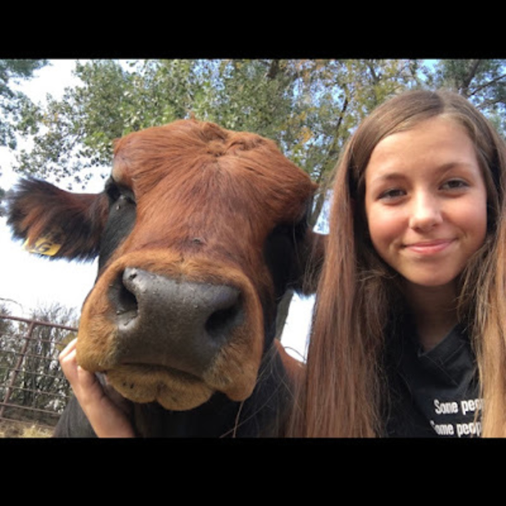 Meet your Posher, Reign